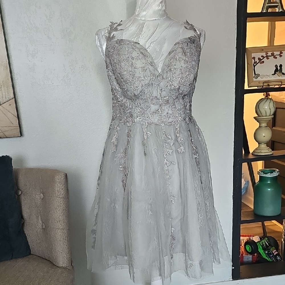 Lace Appliqué Mini Dress in Silver Gray